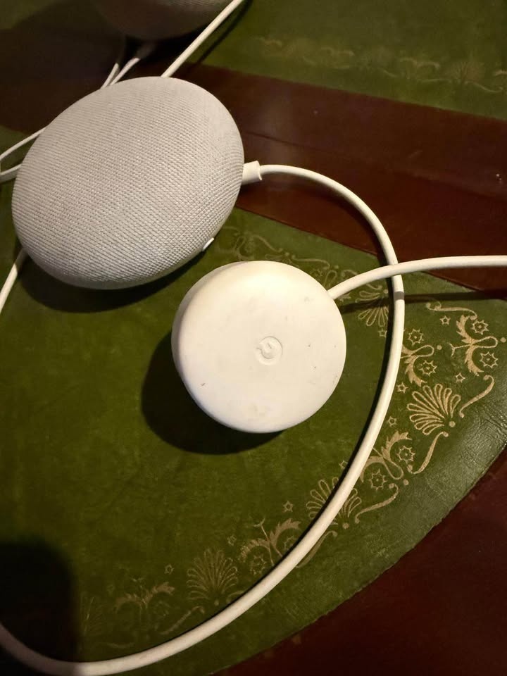 Google Home + Nest Mini Smart Speakers - photo 3