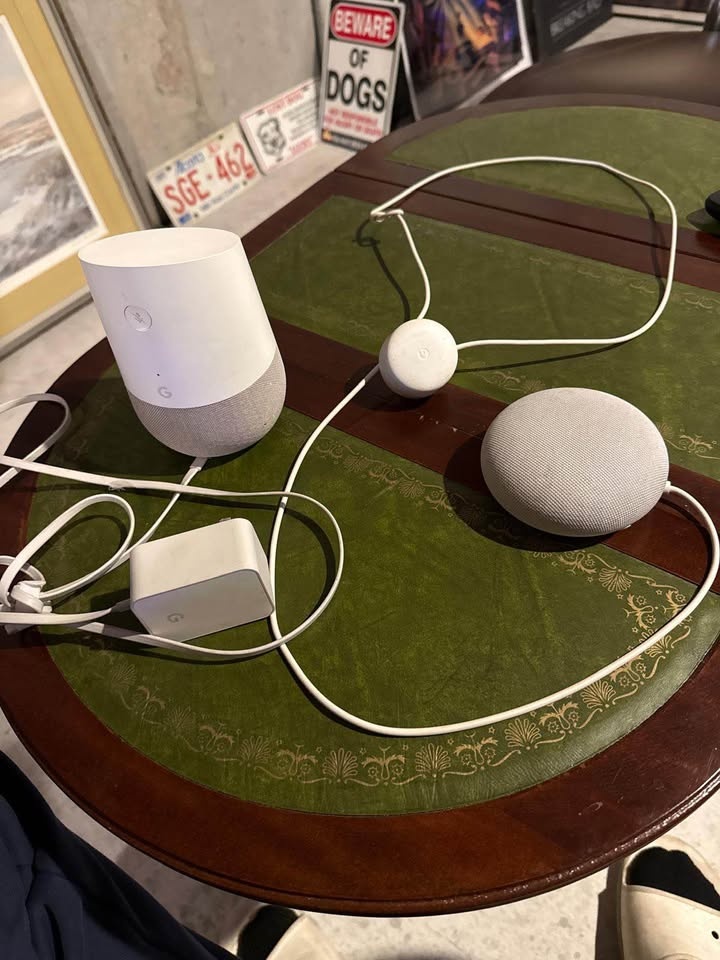 Google Home + Nest Mini Smart Speakers - photo 5