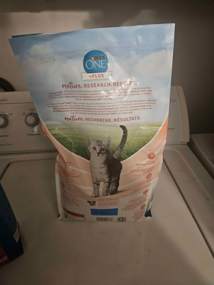 Cat food for kittens - photo 2