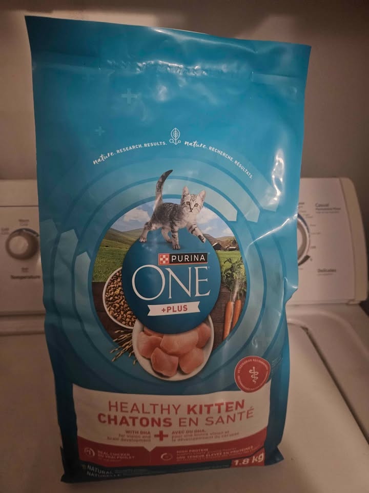 Cat food for kittens - photo 3