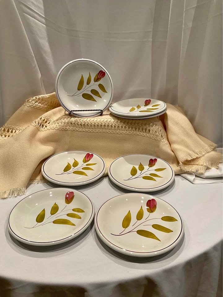 Primula Ceramica Hand Painted Italian Dishes - Set of 7