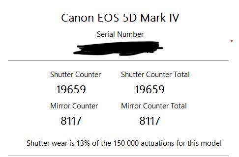 Canon 5D Mark IV with 24-105mm IS II & 50 f1.8mm - photo 2
