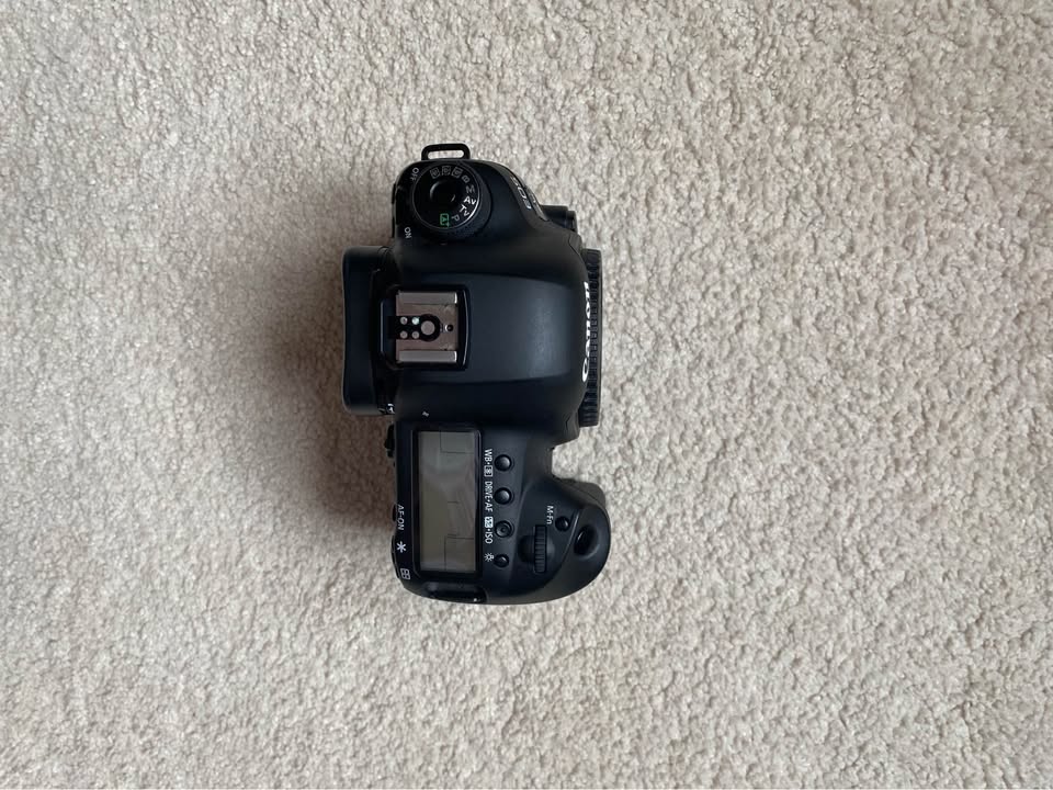 Canon 5D Mark IV with 24-105mm IS II & 50 f1.8mm - photo 5