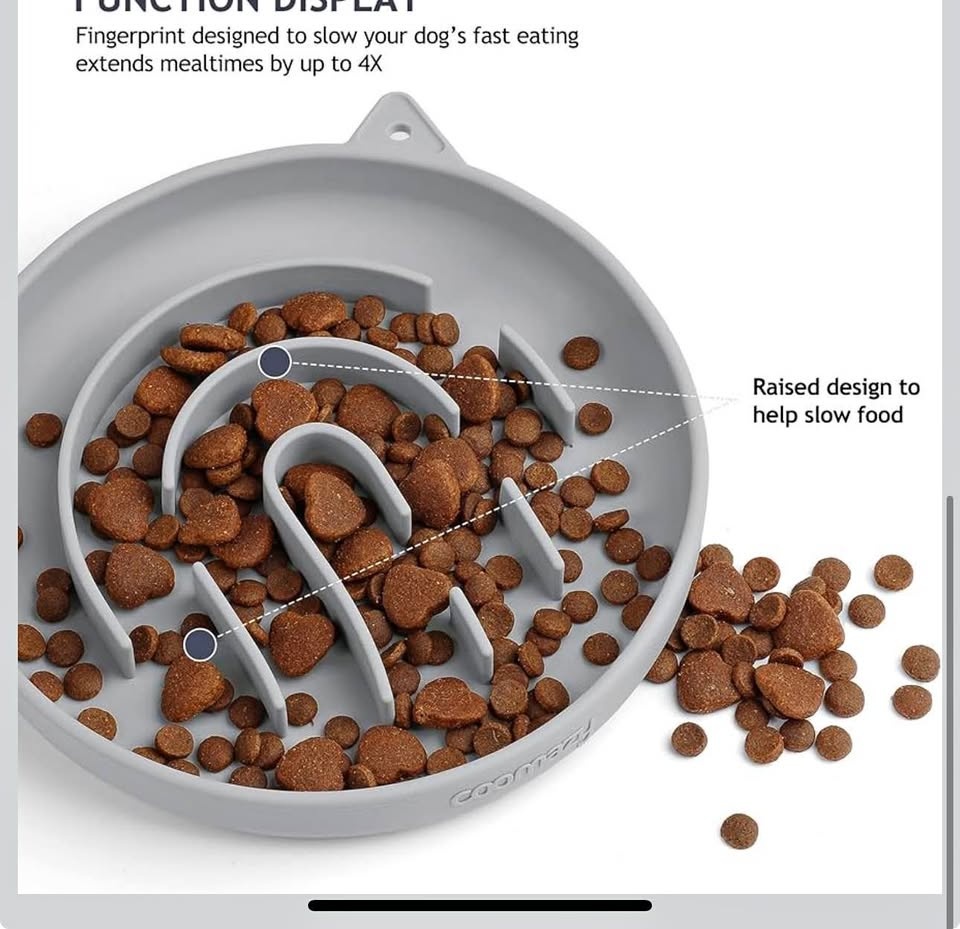 Pet slow feeder