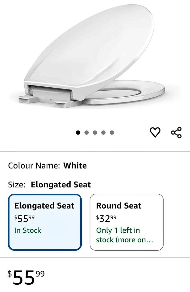 BRAND NEW Toilet Seat
