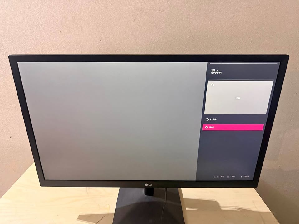 LG Monitor with HDMI