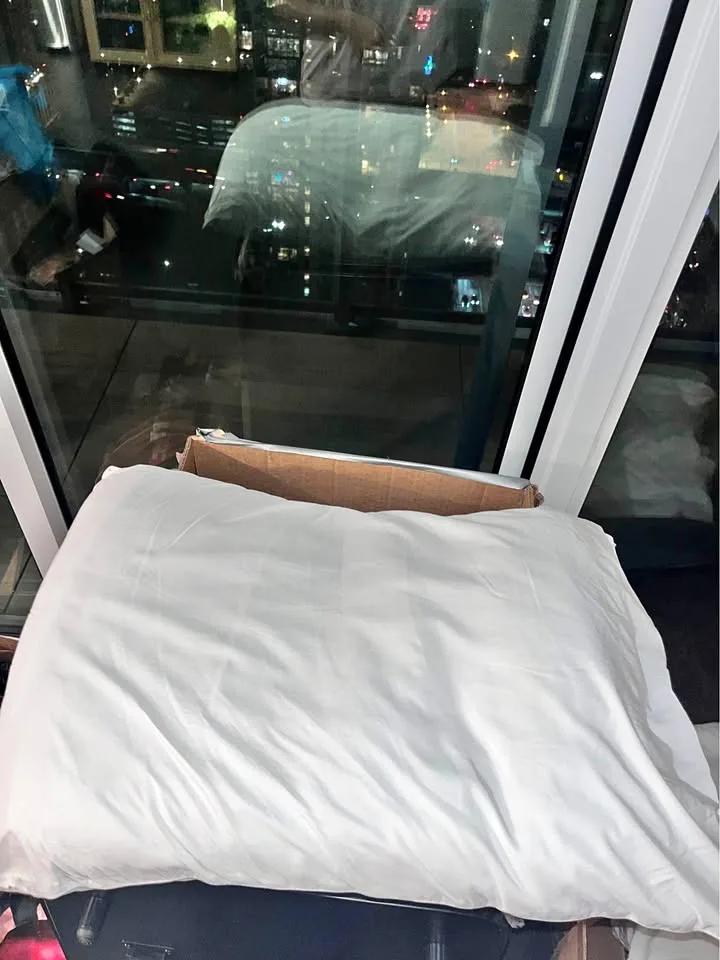 Various Sized Pillows for Sale 🥕 thumbnail