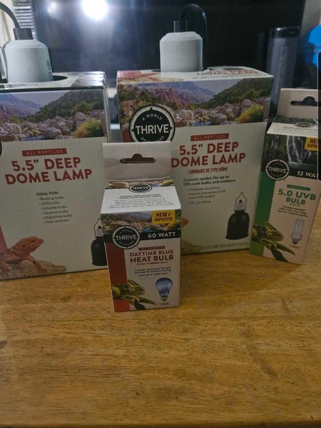 New unopened deep dome lamps and bulbs
