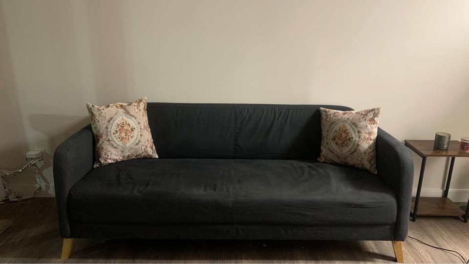 IKEA Sofa/ Couch LINANÄS - photo 3
