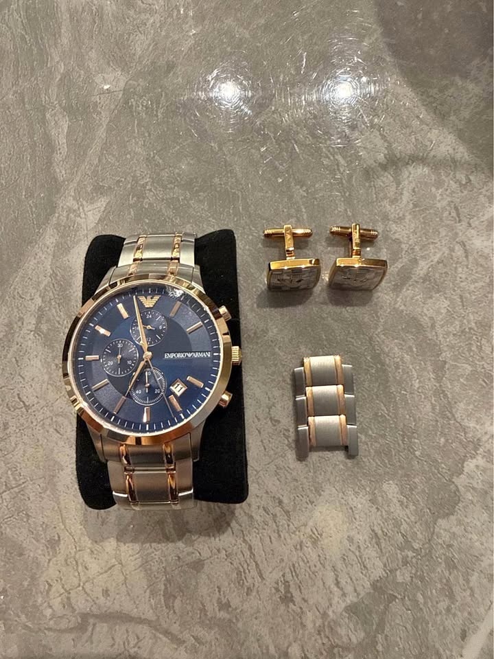 Emporio Armani AR80025 Watch