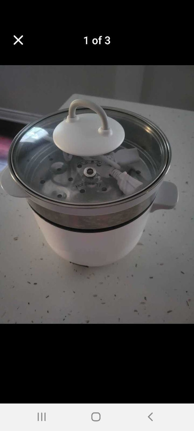 Little bear steamer cooker