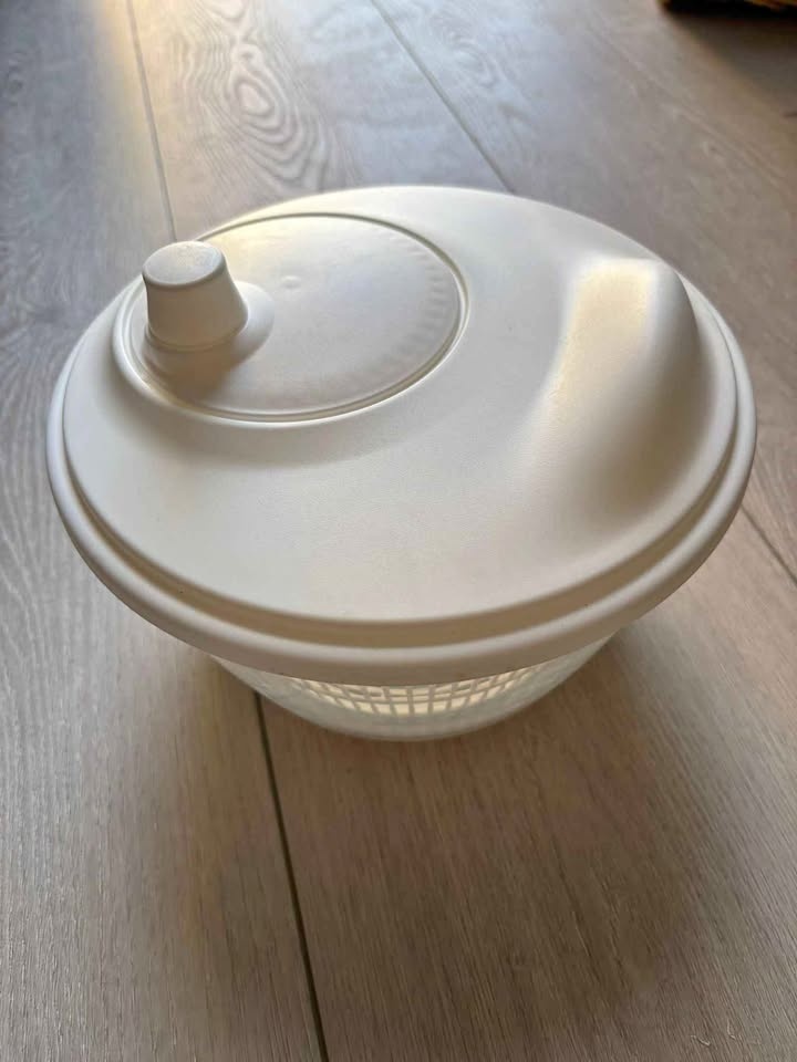 Salad spinner