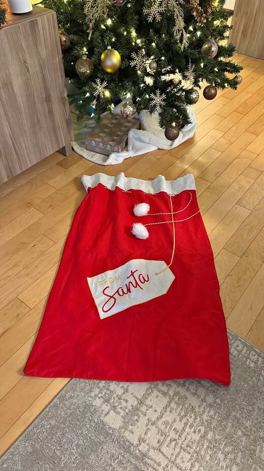 Large Santa Bag