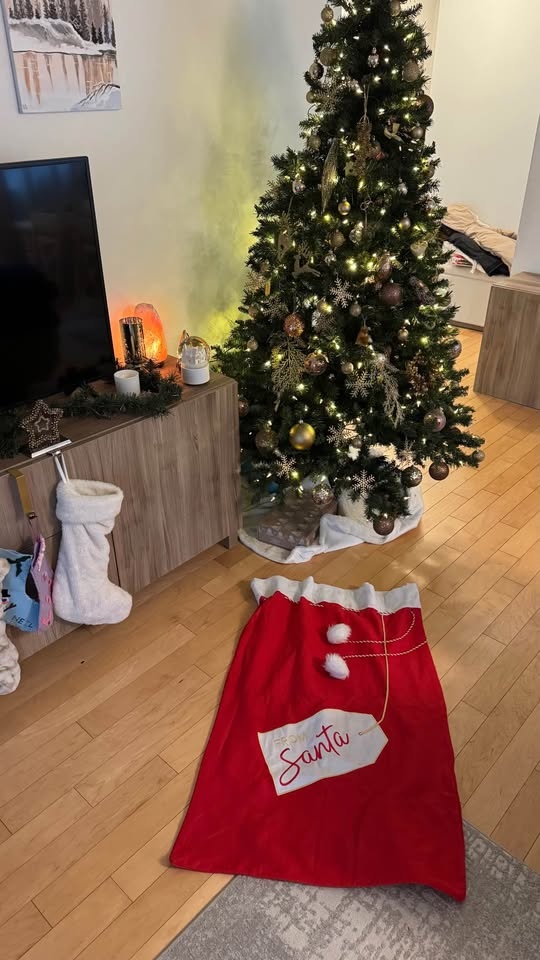 Large Santa Bag - photo 2