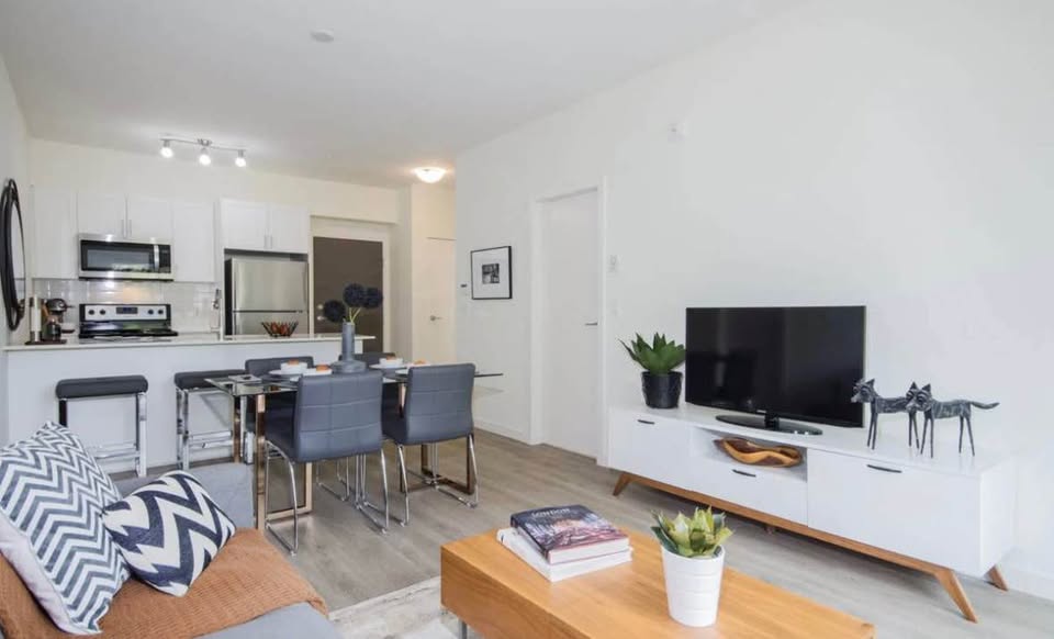 1 Bed 1 Bath - Apartment - photo 4