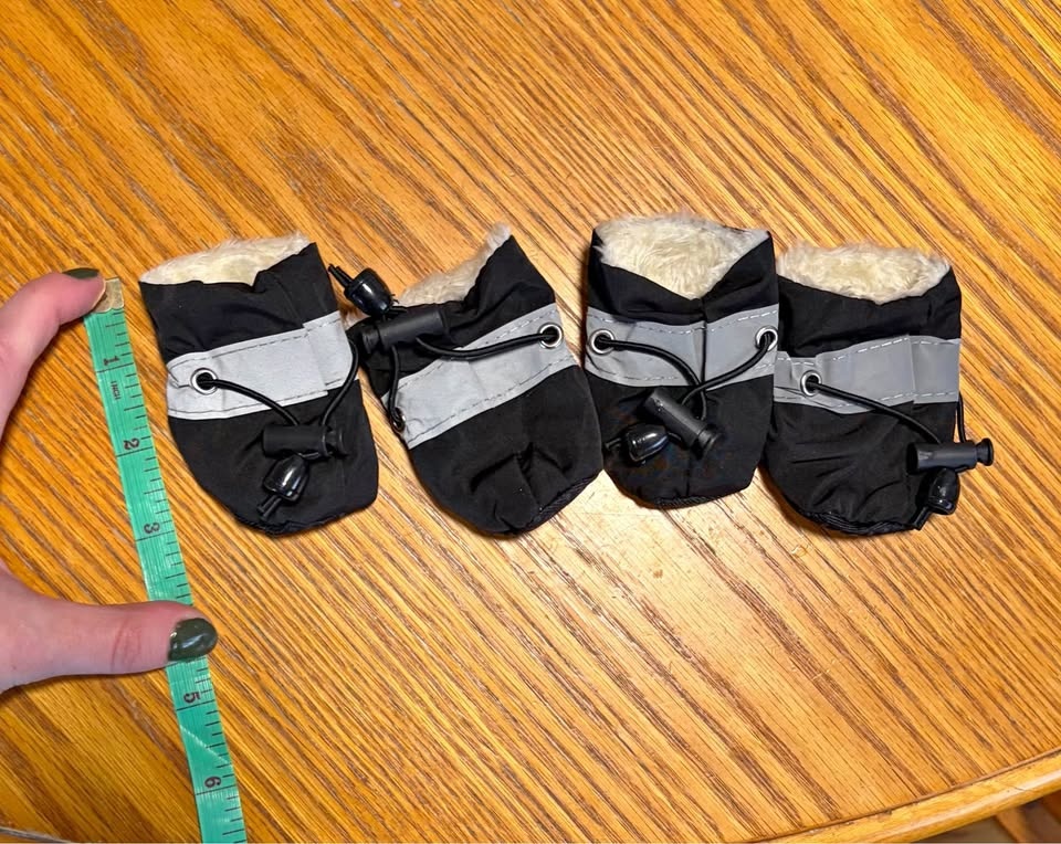 Small dog boots