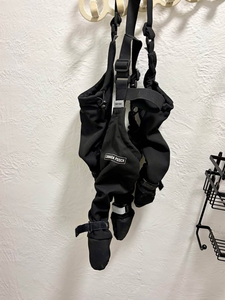 Canada Pooch Suspender Boots Size 2