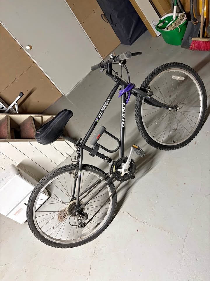 Giant Rincon Mountain Bike - women’s