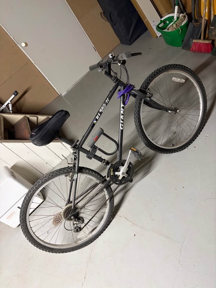 Giant Rincon Mountain Bike - women’s - photo 2