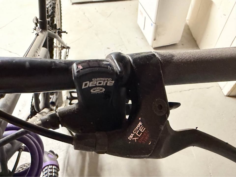 Giant Rincon Mountain Bike - women’s - photo 4