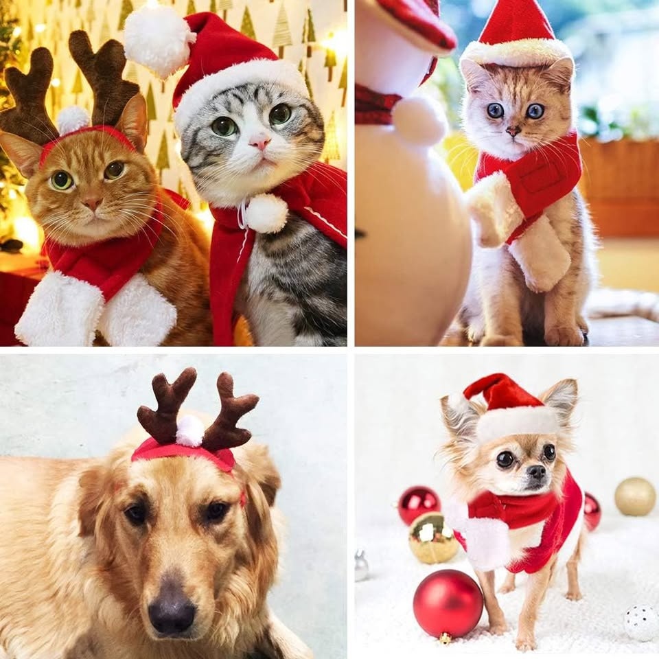 Pet Christmas Costume Outfits (3 Accessories) - photo 3