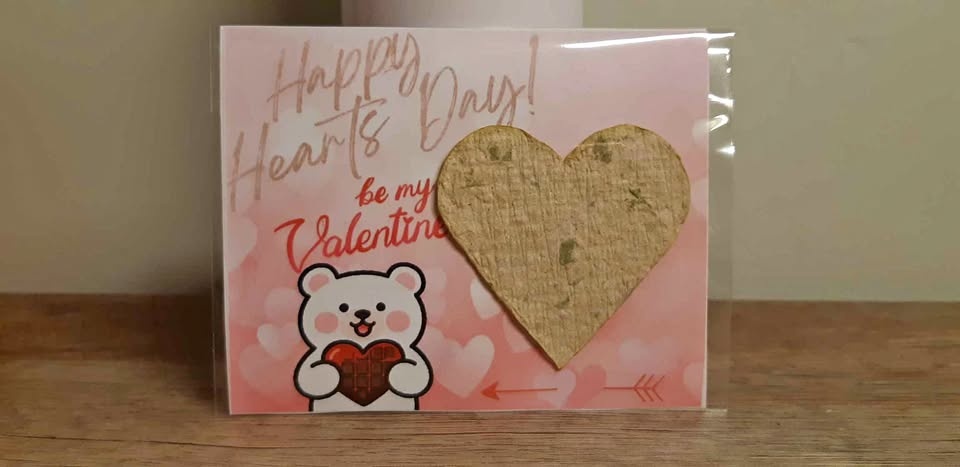 $1.40 each! Valentine's Day Cute favours/ add-ons gifts 💗