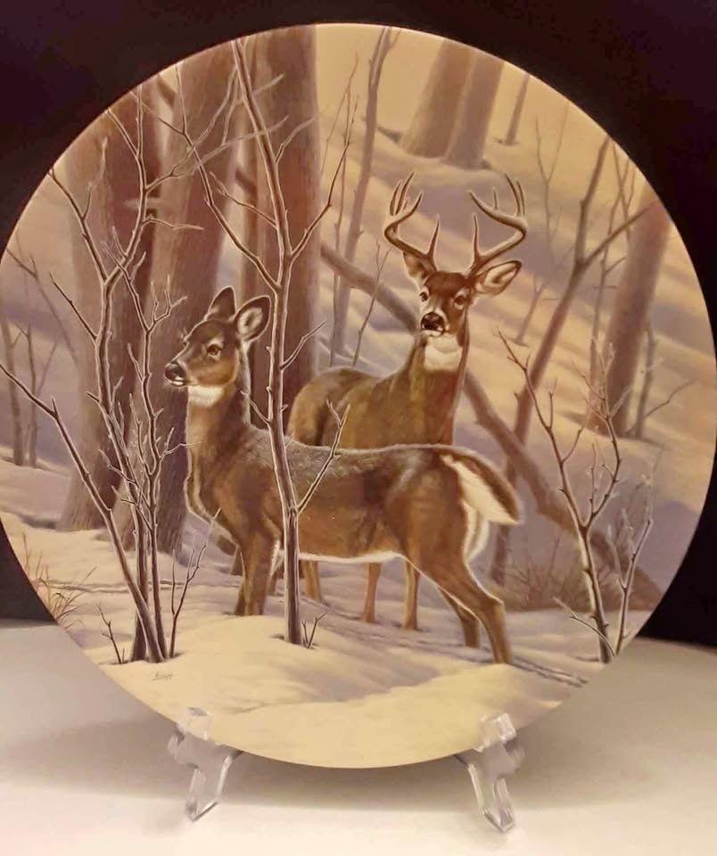 "The White-tailed Deer" Collector Plate🏆