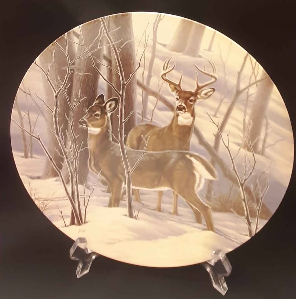 "The White-tailed Deer" Collector Plate🏆 - photo 5