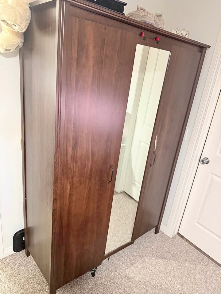 Dark brown wardrobe with mirror