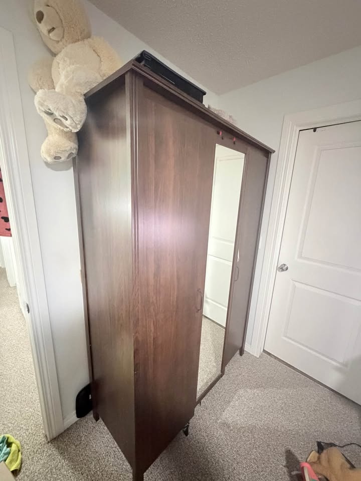 Dark brown wardrobe with mirror - photo 2