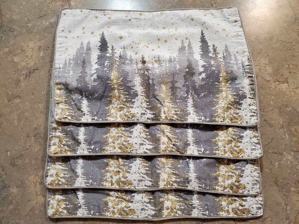 Christmas/Holiday Placemats 🥕