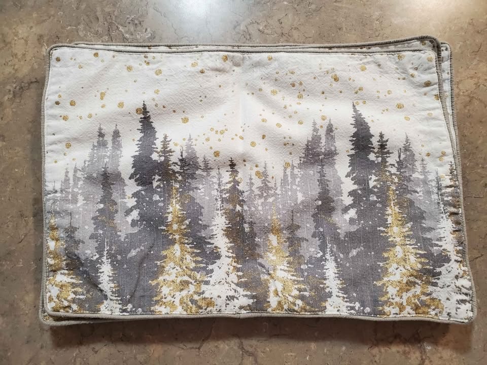 Christmas/Holiday Placemats 🥕 - photo 2