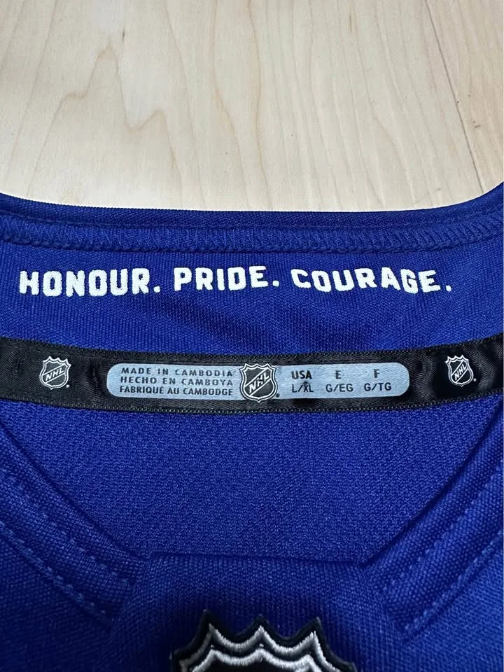 Toronto Maple Leafs jersey youth image indicator(5)