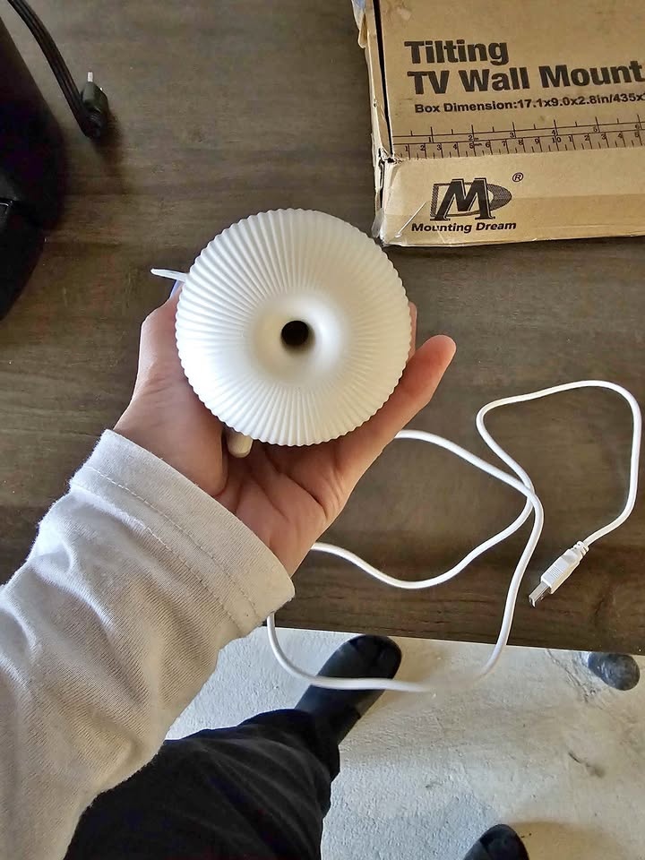 MINISO Essential Oil Humidifier