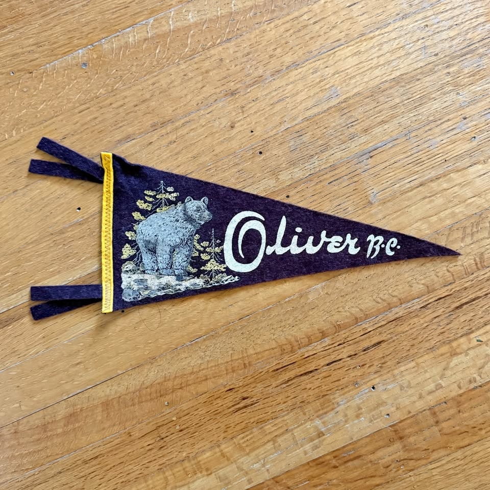 Vintage Oliver British Columbia Pennant Flag