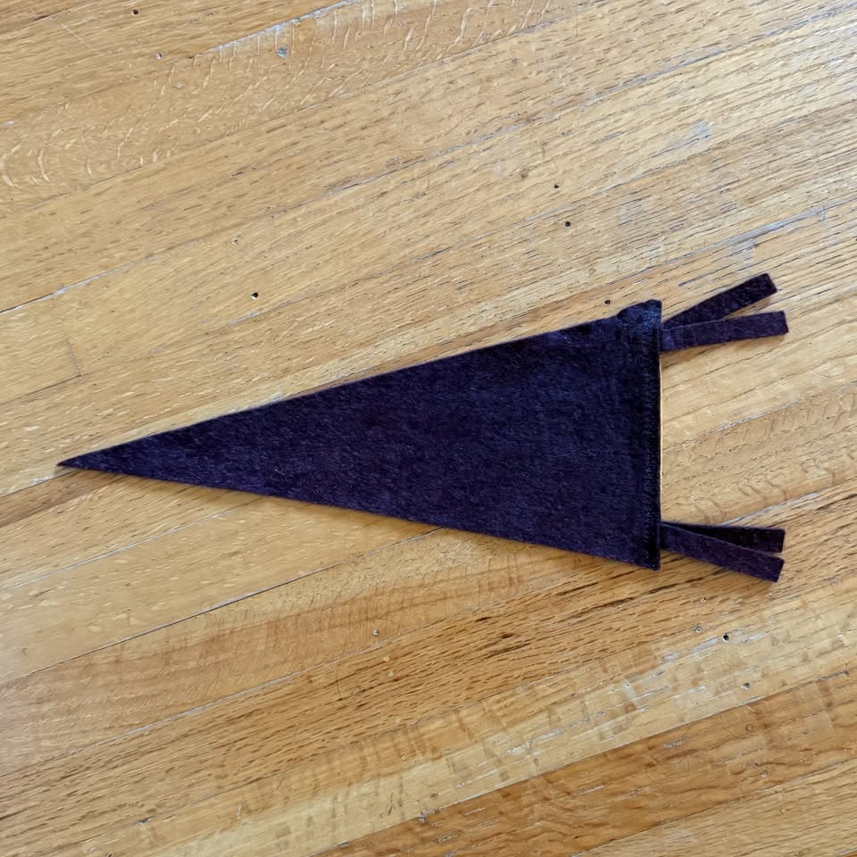 Vintage Oliver British Columbia Pennant Flag - photo 2