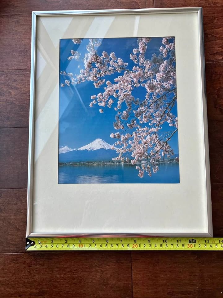 Framed Photo of Mt Fuji with Cherry Blossoms