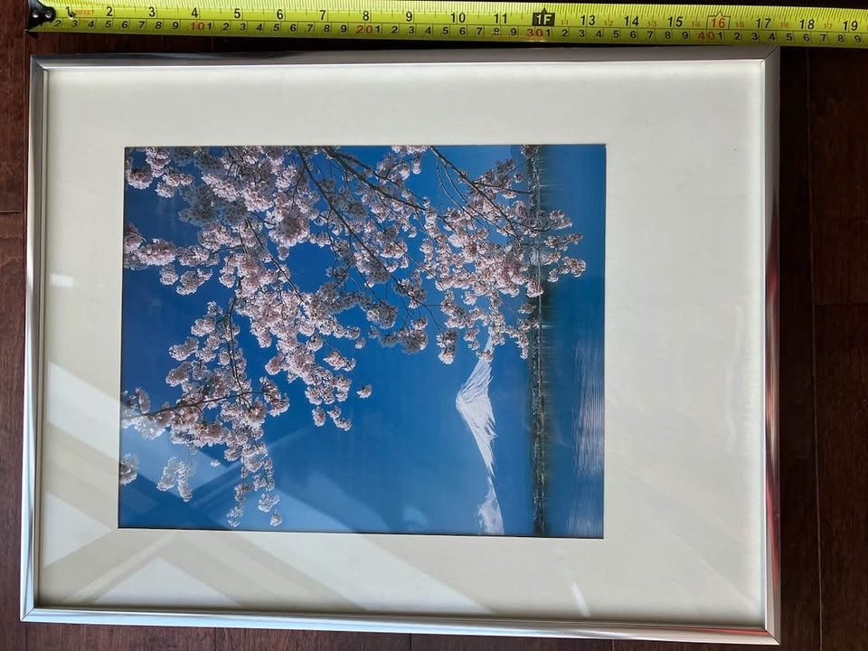 Framed Photo of Mt Fuji with Cherry Blossoms - photo 3