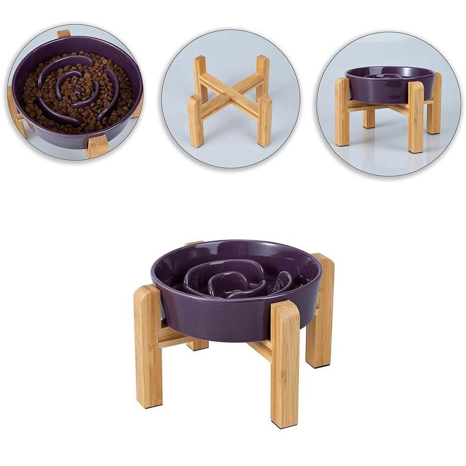 Elevated Slow Feeder Dog Bowl - Purple