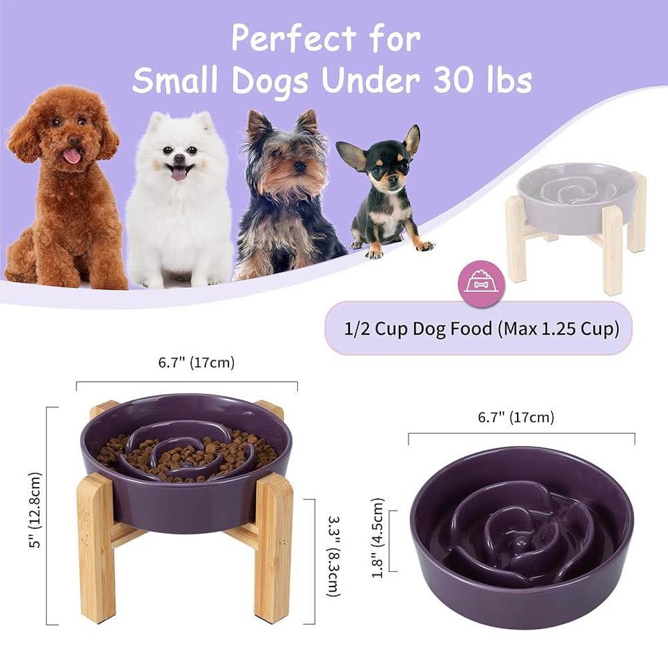 Elevated Slow Feeder Dog Bowl - Purple - photo 3