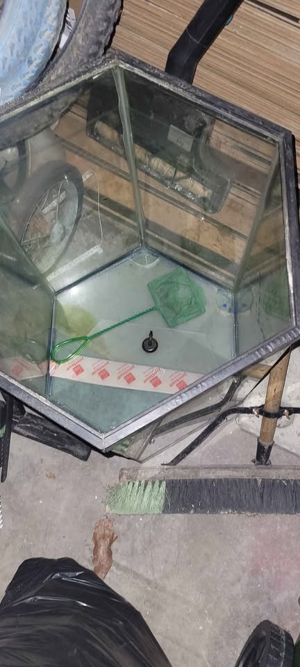 50 Gallon Octagon Fish Tank with Accessories - photo 4