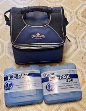 Playmate Cooler with Ice-Paks
