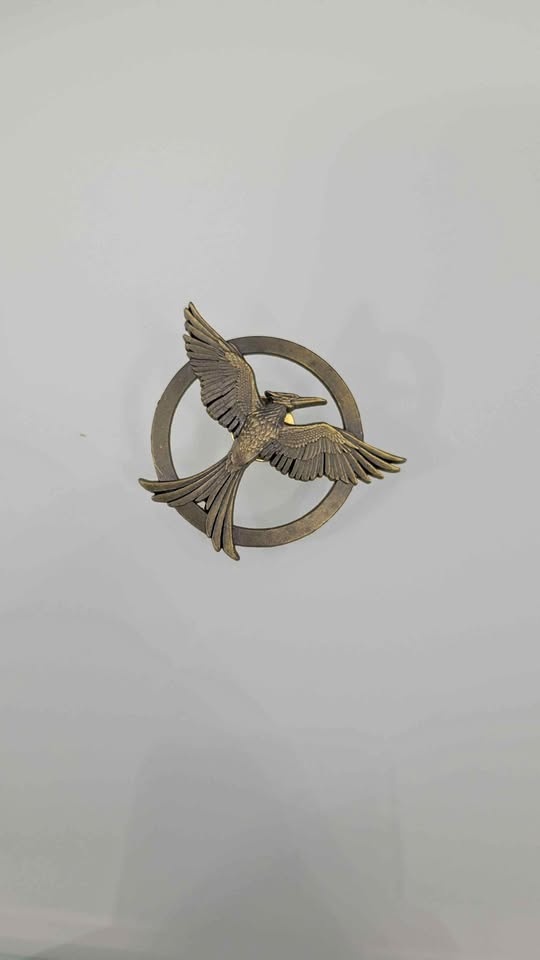Hunger Games Pin