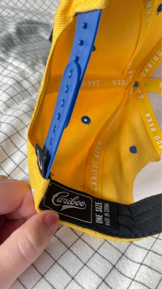Cariboo Baseball Hat (Yellow x Blue) for Men - photo 3