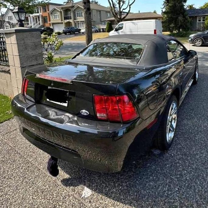 2000 Ford Mustang Convertible