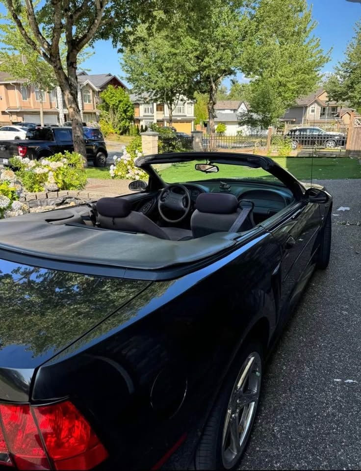 2000 Ford Mustang Convertible - photo 2