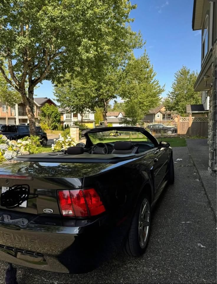 2000 Ford Mustang Convertible - photo 3