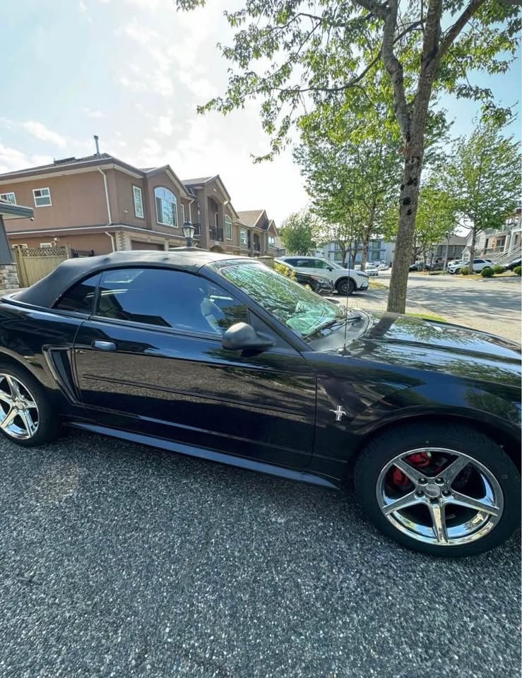 2000 Ford Mustang Convertible - photo 4