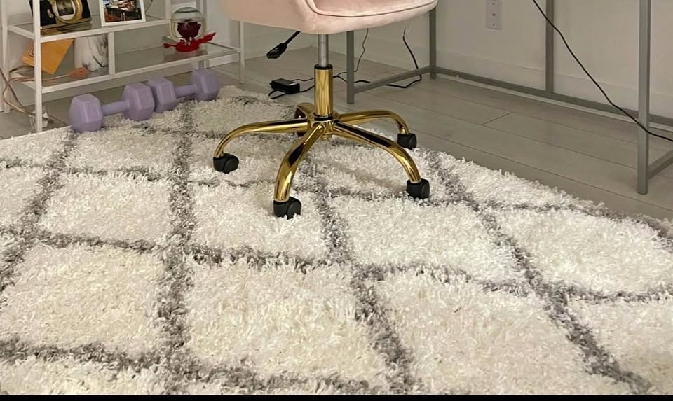 WAYFAIR Darryll Trellis Shag Rug – 4' x 6'