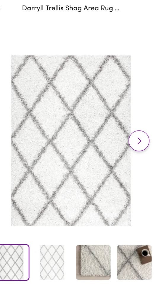 WAYFAIR Darryll Trellis Shag Rug – 4' x 6' - photo 2